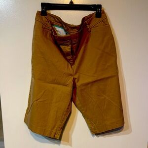 Talbots Men's Tan Flat Front Shorts